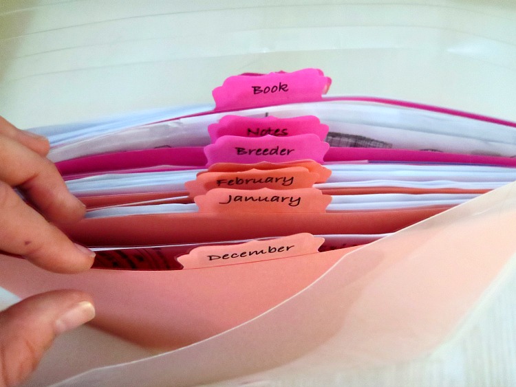 Keep all your family's medical bills organized with this easy to make portable medical binder. Even fits in your purse to take with to doctors appointments!